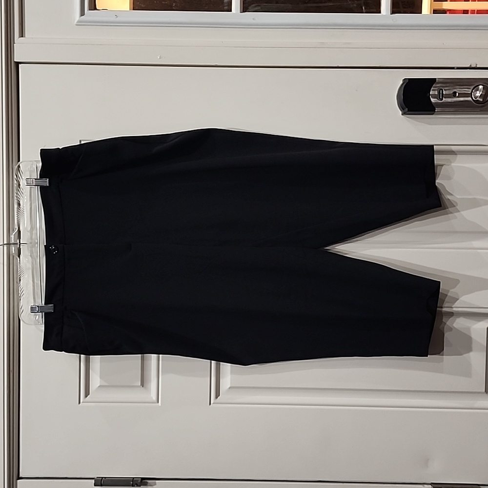 Counterparts Capri pants, 18w